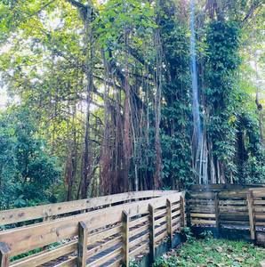 Meet your Posher, Billie